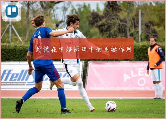 外援在中超保级中的关键作用